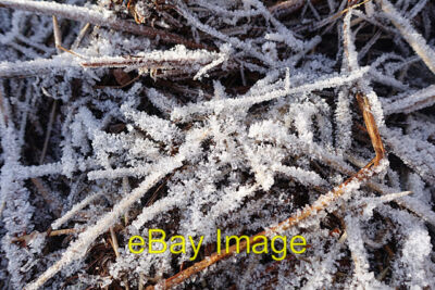 Photo 6x4 Hoar Frost Mill of Monquich Ice crystals on grass at the roadsi c2022