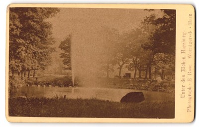 Fotografie E. Rose, Wernigerode, Ansicht Harzburg, Blick in die Anlage Unter de 
