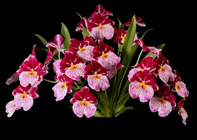 Best gifts ideas and gift inspiration for woman and man beauty