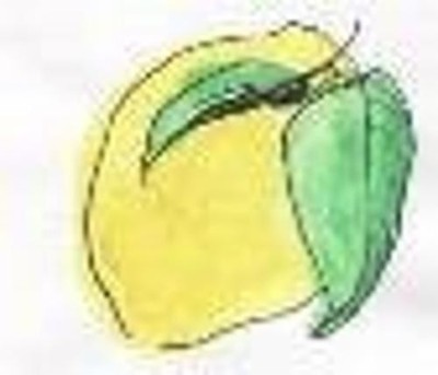 LemonAid Fund