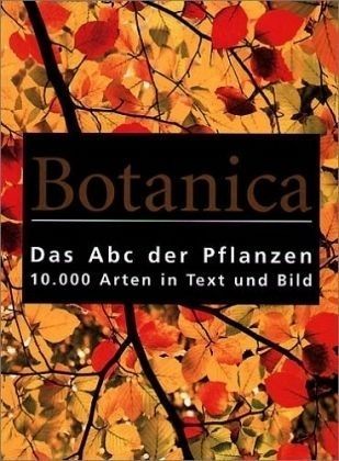 Standardbild