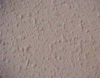 Ceiling Spray Drywall Plaster And Stucco Services In