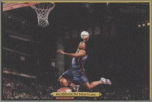 2006-07 Topps Turkey Red - Nate Robinson #257