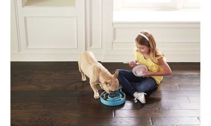 Animal Planet Slow Maze Dog Feeder Bowl for Pets - Blue 9 Inch Diameter