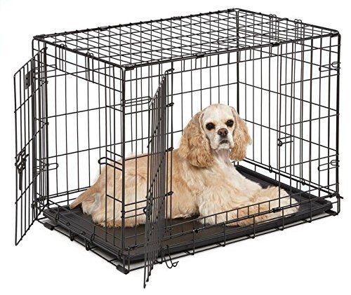 medium-dog-cage-in-edwinstowe-nottinghamshire-gumtree