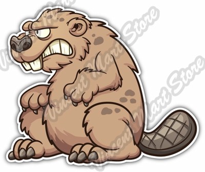 Beaver Angry Cartoon Kids Gift Idea Car Bumper Vinyl Sticker Decal 5''X4''