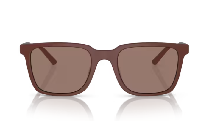 Pre-owned Oliver Peoples 0ov5553su Mr. Federer 700253 Semi-matte Brick/sierra Sunglasses In Brown