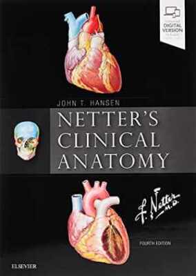 Netter's Clinical Anatomy (Netter Basic - Paperback, by Hansen PhD John - Good
