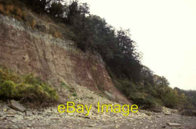 Photo 6x4 Sedbury Cliff Chepstow Much less well known than Aust Cliff, on c1994