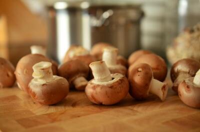 MUSHROOMS *2X3 FRIDGE MAGNET* FUNGUS PORTOBELLA SPORES MORELS TRUFFLES FOREST