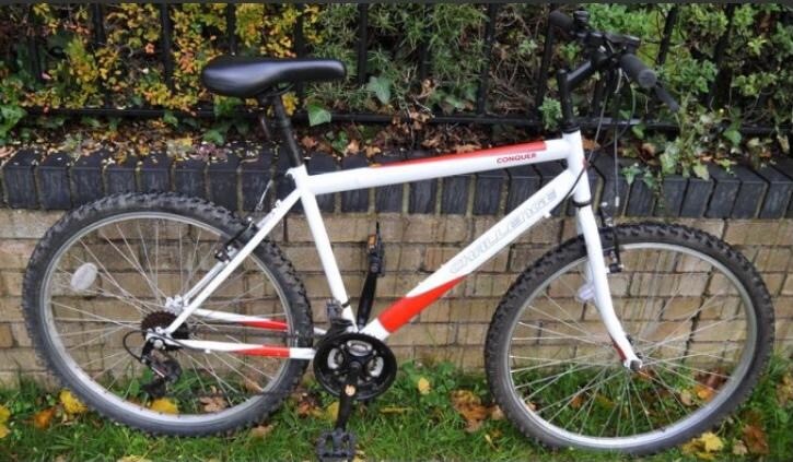 mens push bikes big w