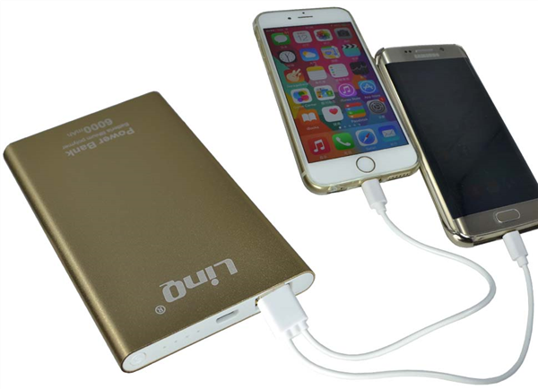 Batteria Power Bank 6000 Mah 1 Uscita 2a Linq Lu-6000