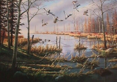 A Likely Refuge by Ken Zilla.  Commemorative Print, Stamp Included.  10.5'' x 16''