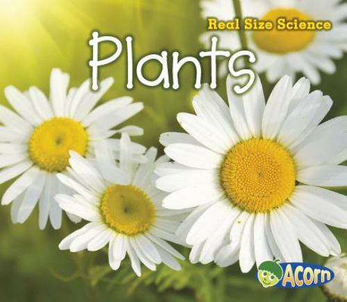 Plants : Real Size Science by Rebecca Rissman (2013, Trade Paperback ...