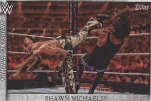 2015 Topps WWE Undisputed - Shawn Michaels #FF-1