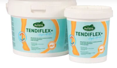 Argile RAVENE "Tendiflex +" pour cheval 