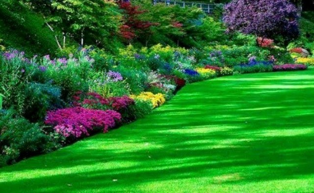 Top notch lawn care services,and even better prices ...