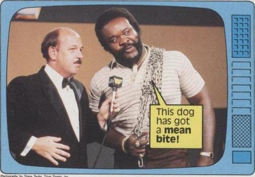 1985 Topps WWF - Junkyard Dog #58
