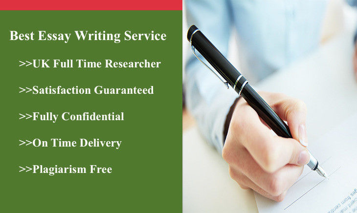 essay introduction arguments writing