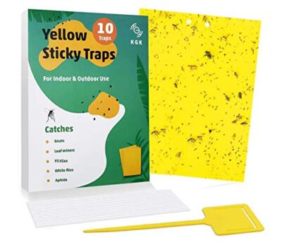 For Fungus Gnats, Aphids Flying Insects