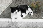bellemimine
