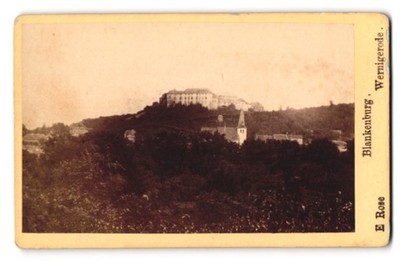 Fotografie E. Rose, Wernigerode, Ansicht Blankenburg, Schloss Blankenburg 