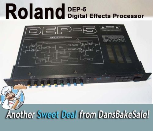 Roland SDE-3000A Digital Delay Made in Japan Vintage Rack Roland SDE-3000A Digital Delay Made in Japan Vintage Rack