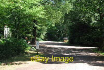 Photo 6x4 Bridleway, Hindhead Common  c2010