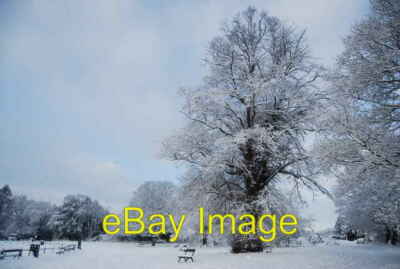 Photo 6x4 Snow covered trees by the cricket pitch, Tunbridge Wells Common c2010