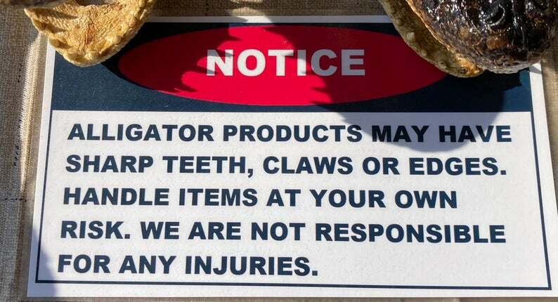 Five Small Alligator Feet