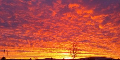 Congregation Ateres Pinchus