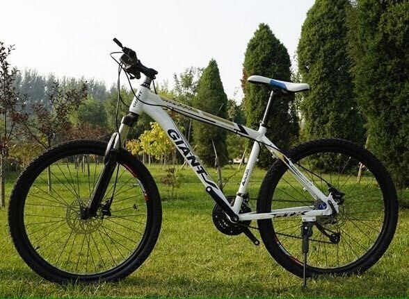mountain bike giant brand