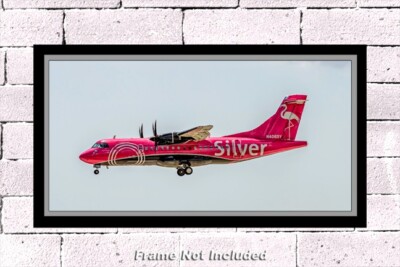 Silver Airways ATR 42-600 10'' x 20'' Color Photograph (APPM10109)