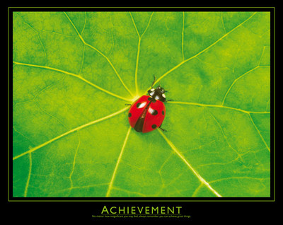 POSTER Achievement Ladybug 16x20 Studio B
