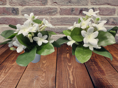 Cute ARTIFICIAL mini stephanotis flower arrangements in 2'' hard plastic pot