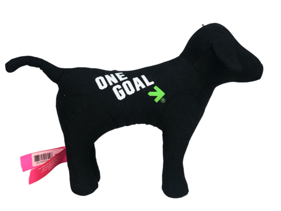 RARE VICTORIA'S SECRET PINK PELOTONIA 2017 ONE GOAL MINI DOG LIMITED EDITION NWT