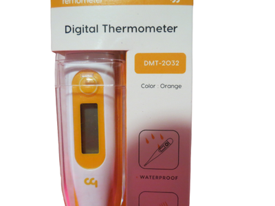 Ebay thermometer outlet