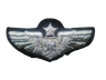 Wing USAF SR NAV Pilot 2.png