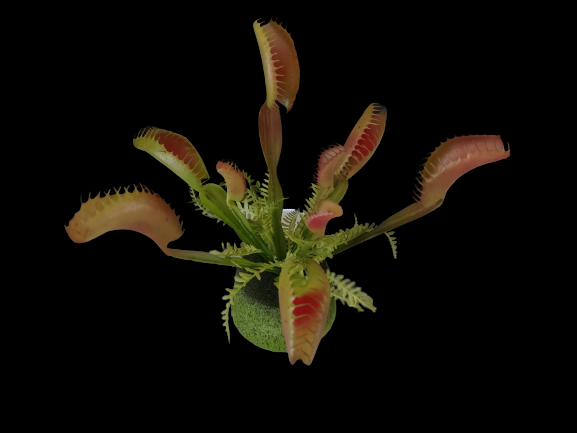 Artificial Venus Fly Trap plant garden. Carnivorous Plants Silk Flowers