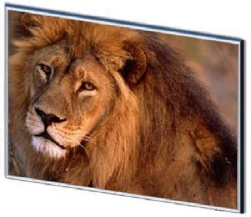 Laptop Screens and LCD Panels for Apple