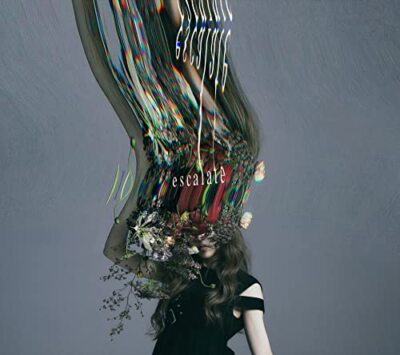 NieR:Automata Ver1.1a OP Theme CD Aimer escalate Limited Edition Anime VVCL-2215