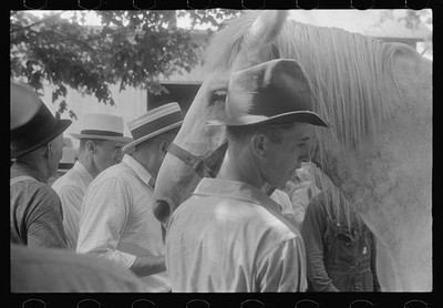 Public Auction,Central Ohio,OH,Farm Security Administration,FSA,Summer 1938,1