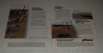 1983 Pfizer Vintage Advertisement - The less you can count on nature