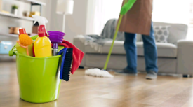 image for PROFESSIONAL CLEANING