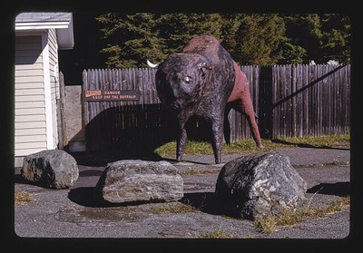 Photo:Mohawk Trading Post buffalo statue,Route 2,Shelburne,Massachusetts