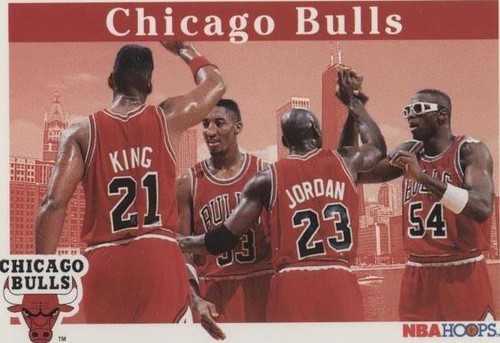 NBAカード MICHAEL JORDAN×SCOTTIE PIPPEN Michael Jordan & Scottie Pippen 1991-1992 Skybox #462 Card