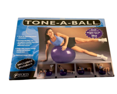 Exercise ball 2024 workout chart