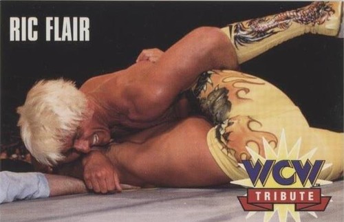 1995 CARDZ WCW Main Event - Ric Flair #79