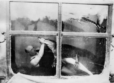 Circus artist in an underwater-tank He is able to stay underwater - Old Photo