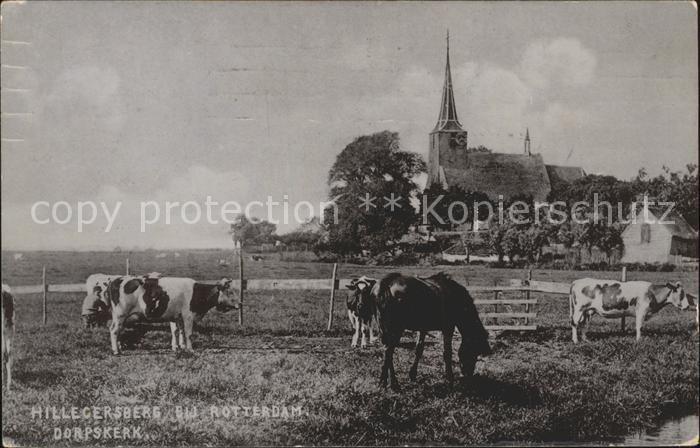 11892058 Hillegersberg Dorpskerk 